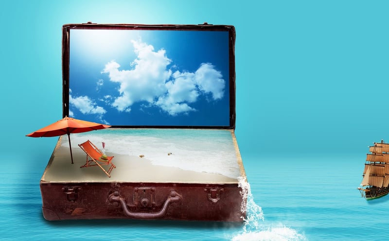 Suitcases and Flowers